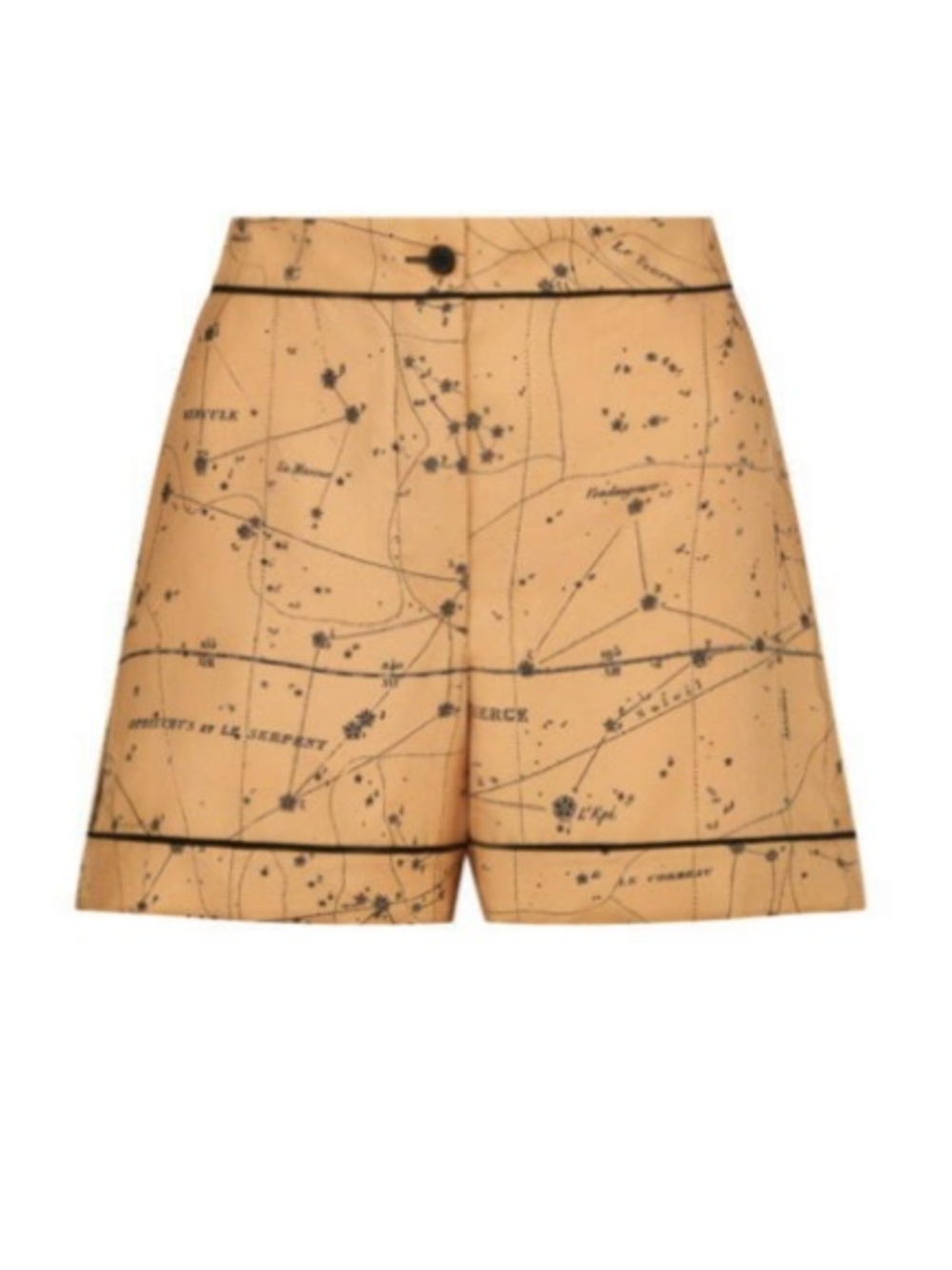 Christian Dior Silk Zodiac Short